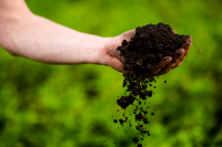 Making compost