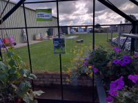 ... and of course we have our OWN Display Greenhouses at Steam and Moorland , Pickering.