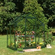 Halls Popular 64 Forest Green Greenhouse 6 x 4 Horti Glass Short Panes