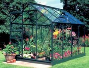 Halls Popular 68 Forest Green Greenhouse 6 x 8 Tough Glass Long Panes - S08102