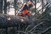 Husqvarna 592XP Chainsaw