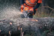 Husqvarna 592XP Chainsaw