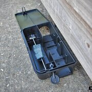 STV - The Big Cheese - Rat and Mouse Bait Station - image 2